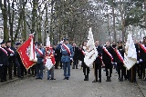 Zdjęcie:  style=
